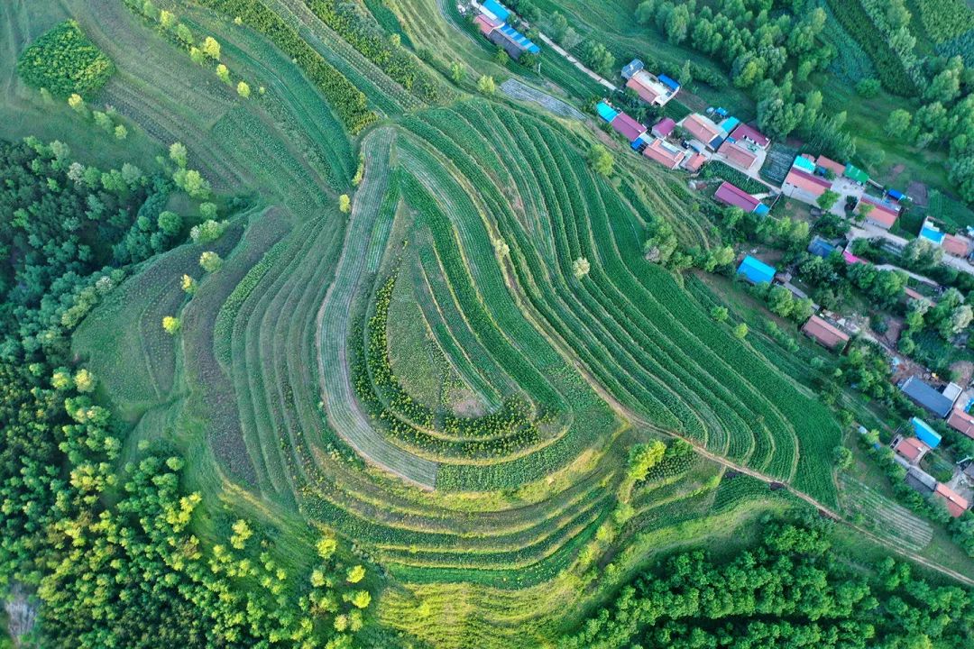 生態(tài)系統(tǒng)健康和管理——加強(qiáng)生態(tài)技術(shù)和工程管理，促進(jìn)生態(tài)系統(tǒng)健康發(fā)展